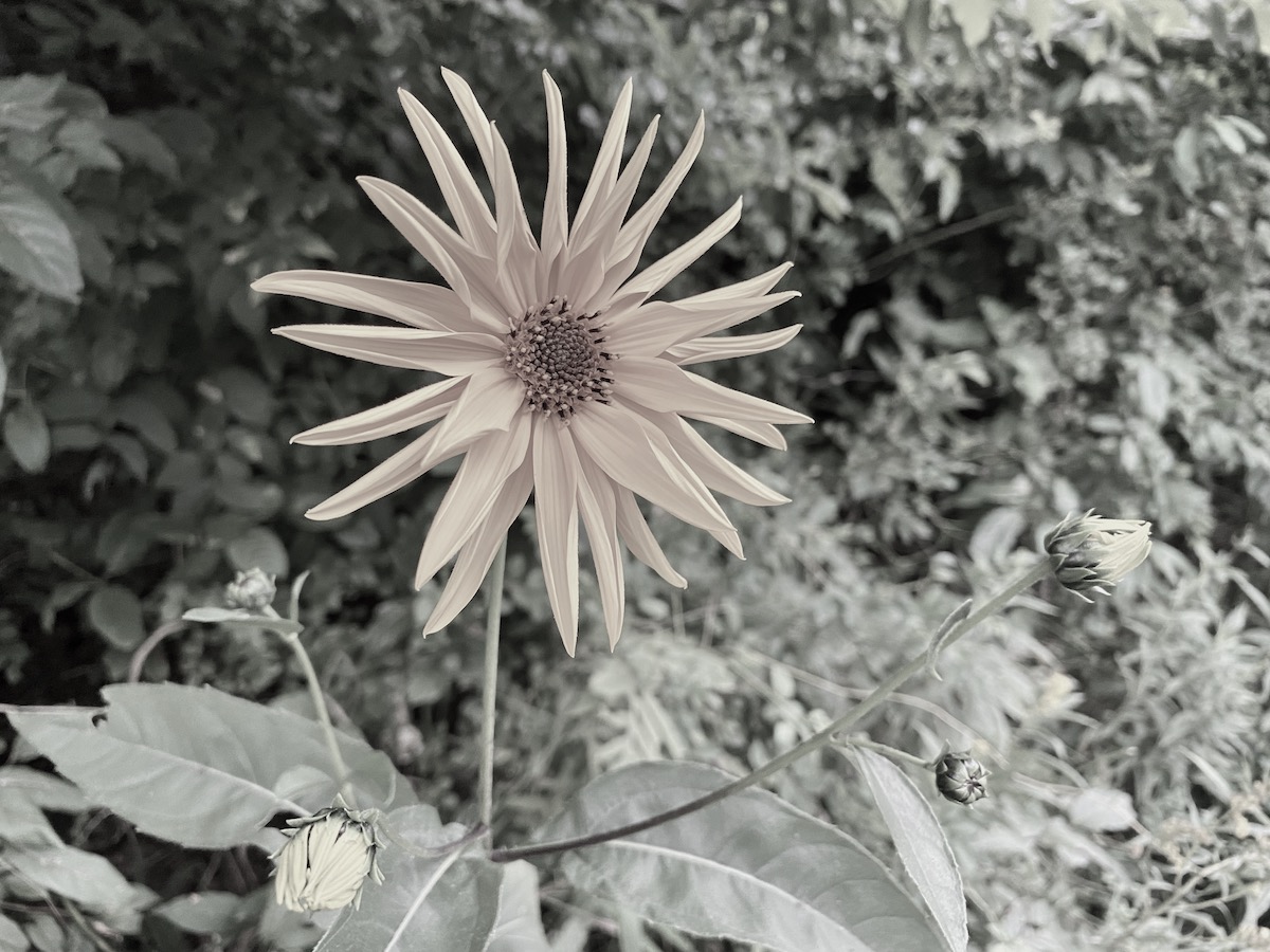 The Top 10 Posts of Being Lazy and Slowing Down: 2-Year Celebration