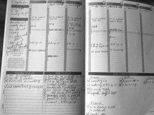Passion Planner Weekly Pages