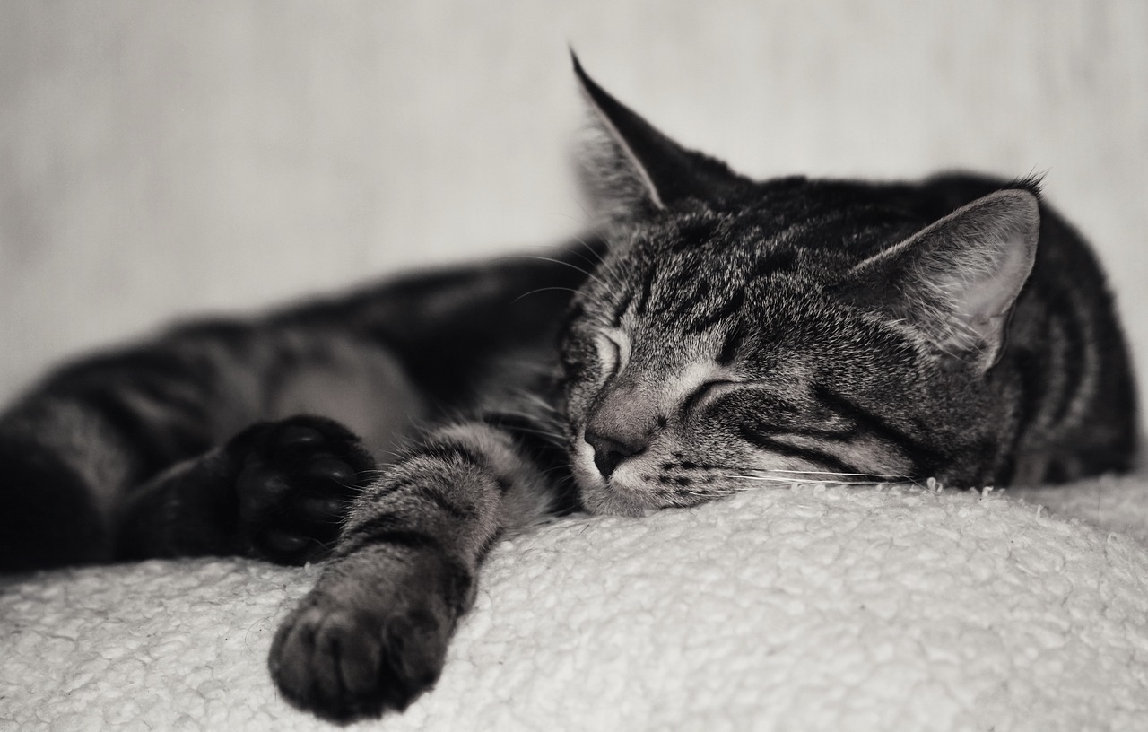 How my relationship with naps has shifted – Now a good friend