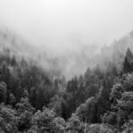 How I wrote my ‘velcro’ paper: 4 lessons from a conceptual writing journey