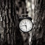Clock bridging trees