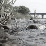 water flowing like qi for Tai Chi and writing